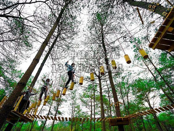 叢林穿越設備的搭建對環境有影響嗎？